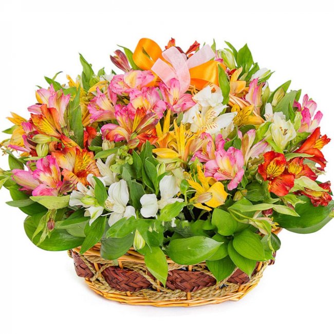 Разноцветный вихрь Разноцветный вихрь